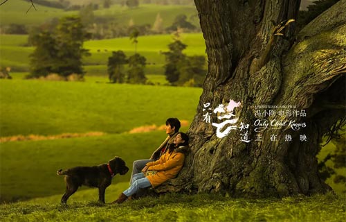 “只有芸知道”和“芸不会知道”