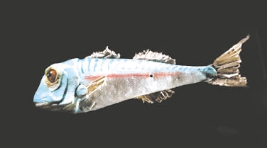 用古朴硬核的手工 还原光怪陆离的海底世界