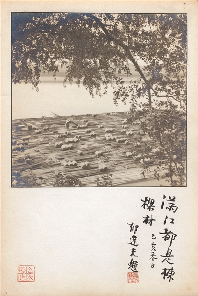 小的美，灵性的美，如画一般的美