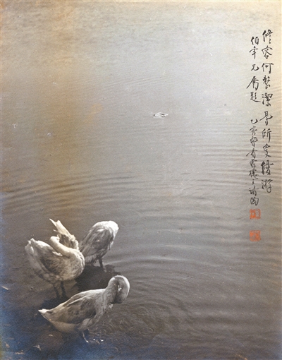 小的美，灵性的美，如画一般的美