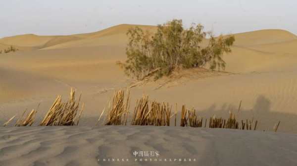 开掘摄影艺术创作新视界