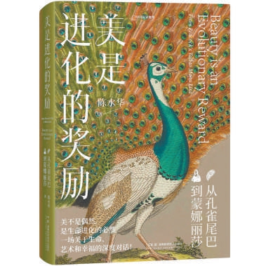 美不是一种偶然