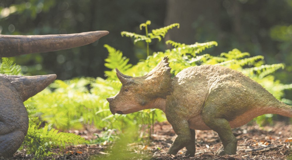 科学和历史深度探索,与“巨兽”共情 科学和历史深度探索,与“巨兽”共情