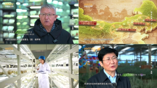 “绿色长城”的建构与见证：诗意影像中的北疆图景与中国式生态实践