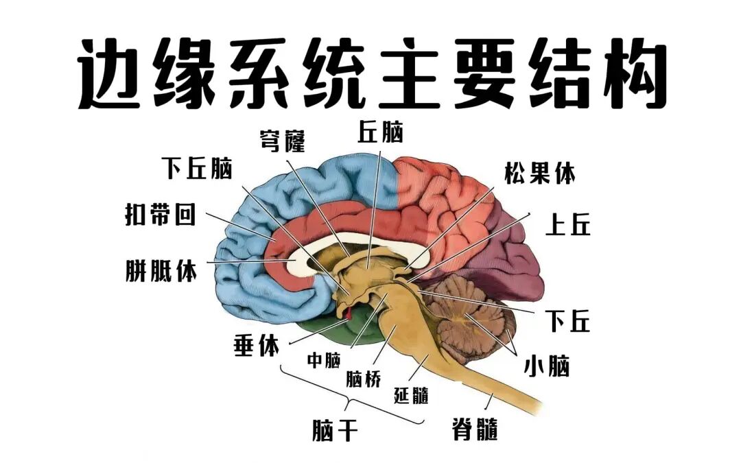 微短剧精品化:一个伪命题?