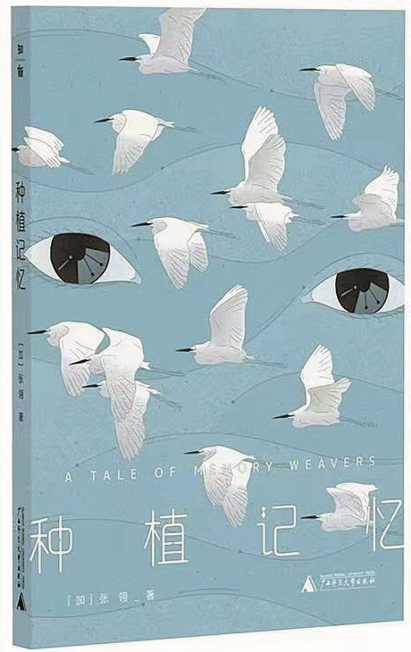 记忆的荒原，爱是唯一的指南针