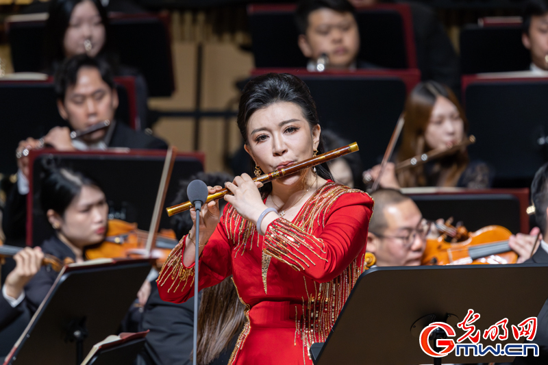 “艺苑撷英——2025年全国优秀青年艺术人才展演”民乐专场在京举行