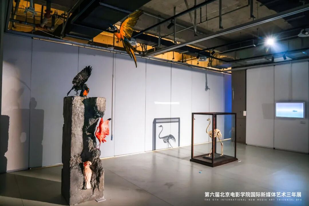 第六届北京电影学院国际新媒体艺术三年展启幕 科技与人文携手共探艺术本源 第六届北京电影学院国际新媒体艺术三年展启幕 科技与人文携手共探艺术本源