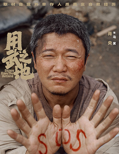 《用武之地》：叙事之限，破局之困