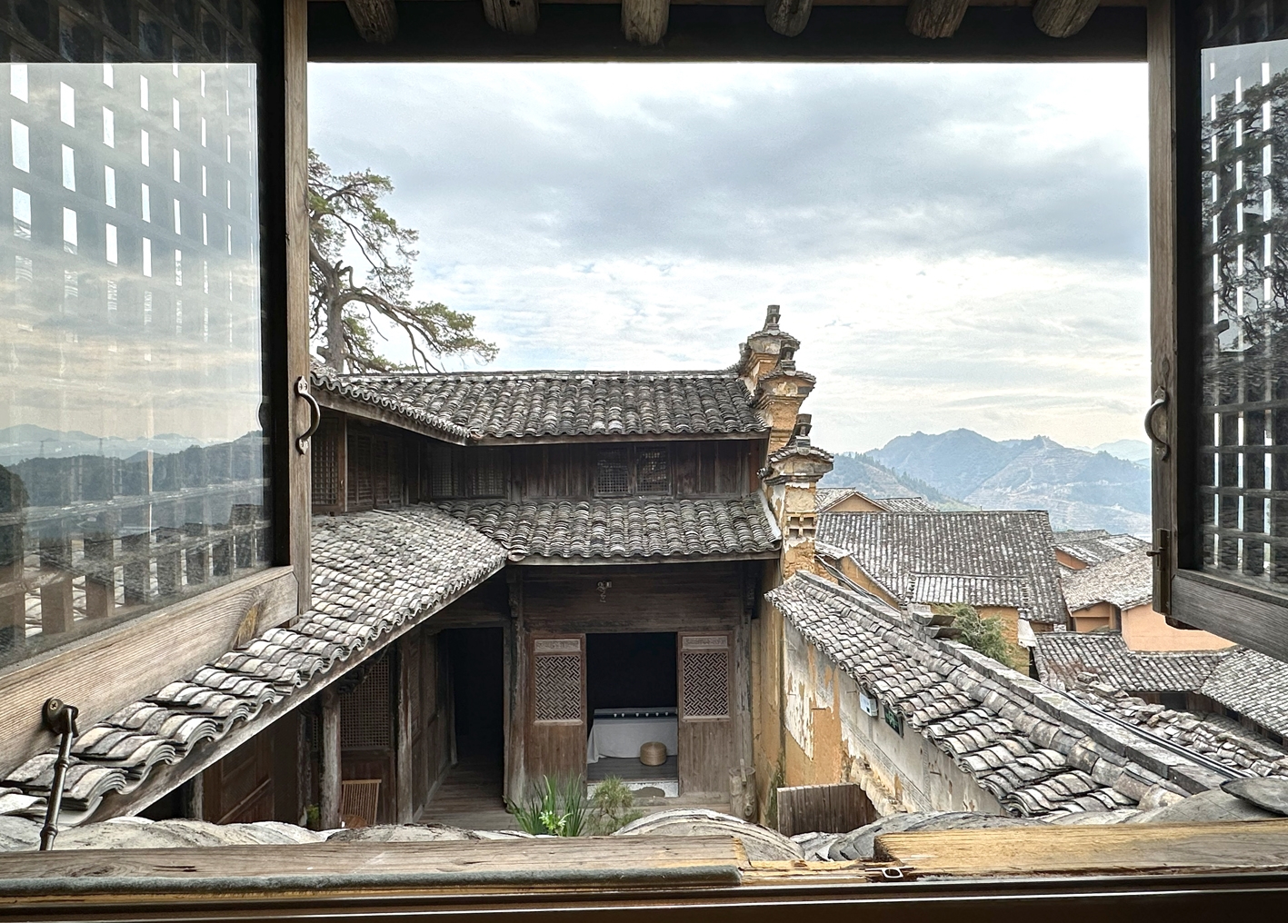将激情和热爱赋予文学翻译