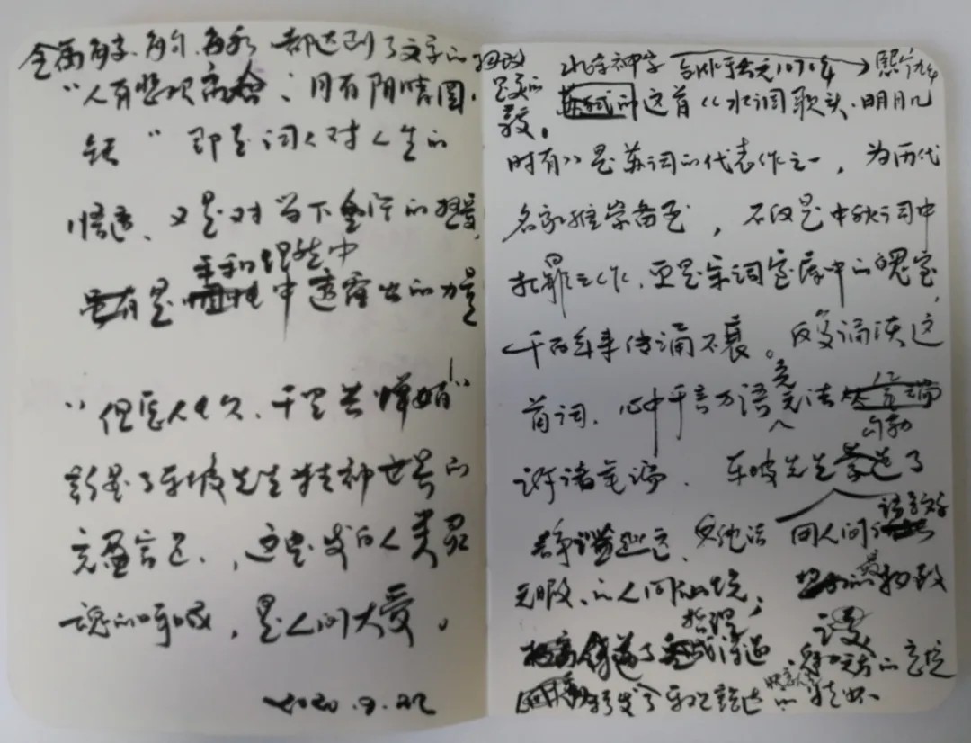愿闻其声丨宋词-苏轼《水调歌头·明月几时有》