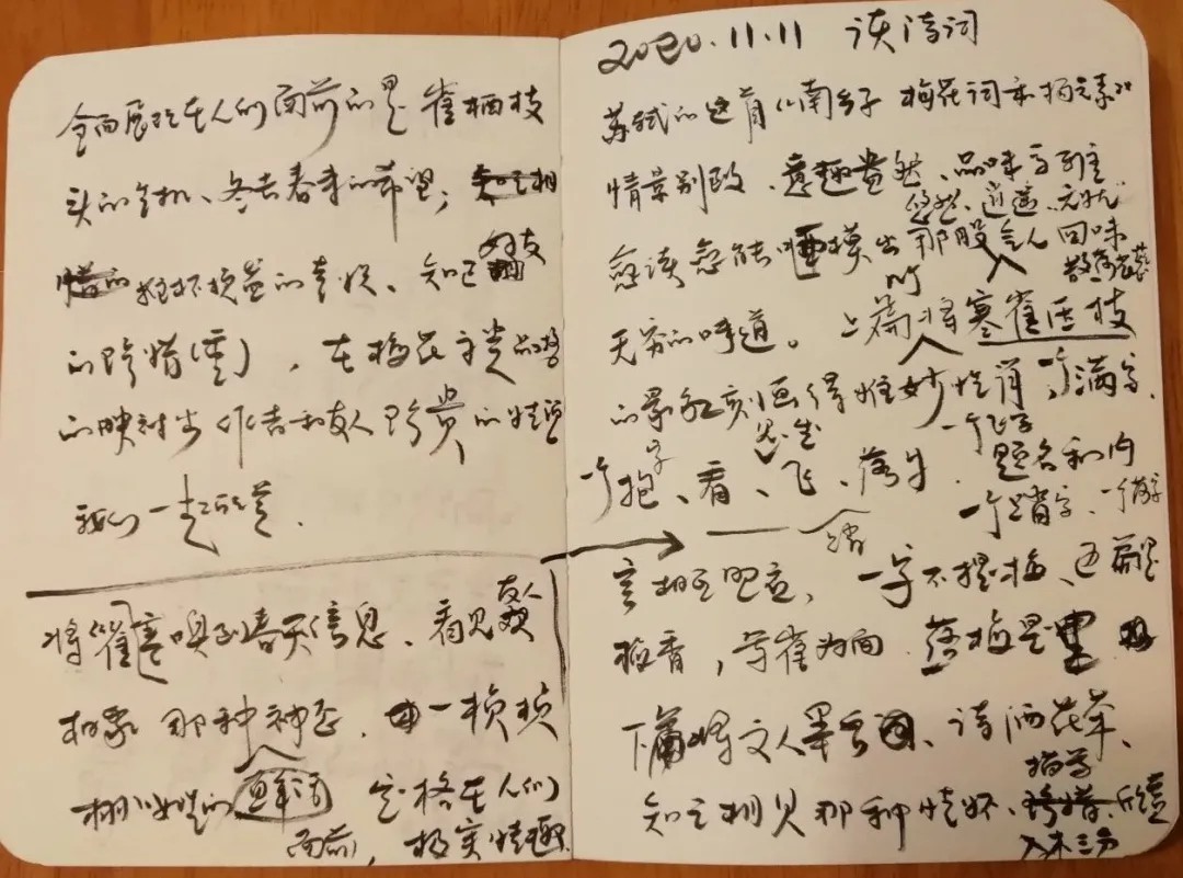 愿闻其声丨宋词-苏轼《南乡子·梅花词和杨元素》