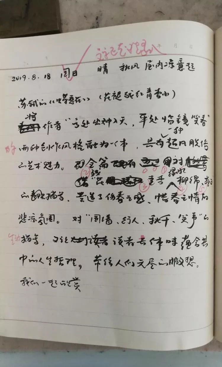 愿闻其声|宋词-蝶恋花·花褪残红青杏小（苏轼）