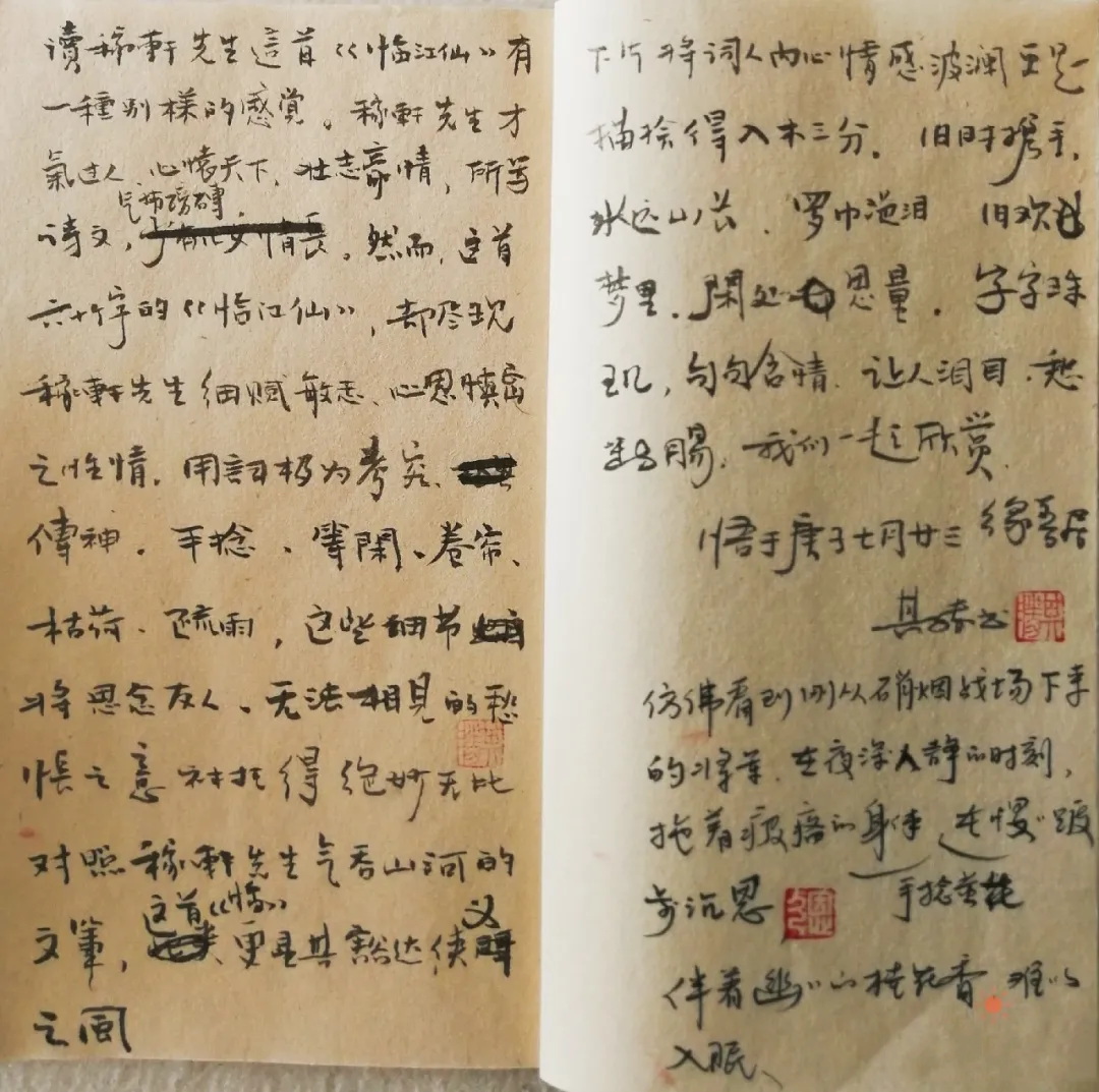 愿闻其声|宋词-辛弃疾《临江仙·手捻黄花无意绪》