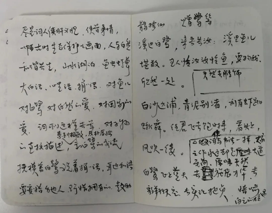 愿闻其声丨宋词-辛弃疾《鹊桥仙·赠鹭鸶》